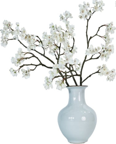 Celadon Cherry Blossom - CEL01 (Carton of 1)